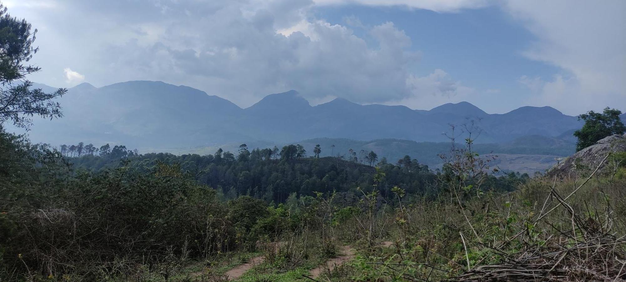 El Lora Resldency Panzió Munnar Kültér fotó
